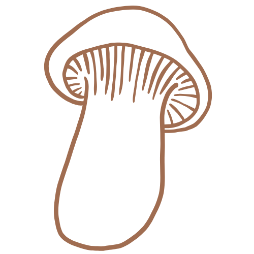 Mushroom